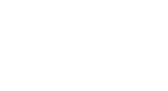 Bürstner Markenlogo "Bürstner", weiß auf transparent
